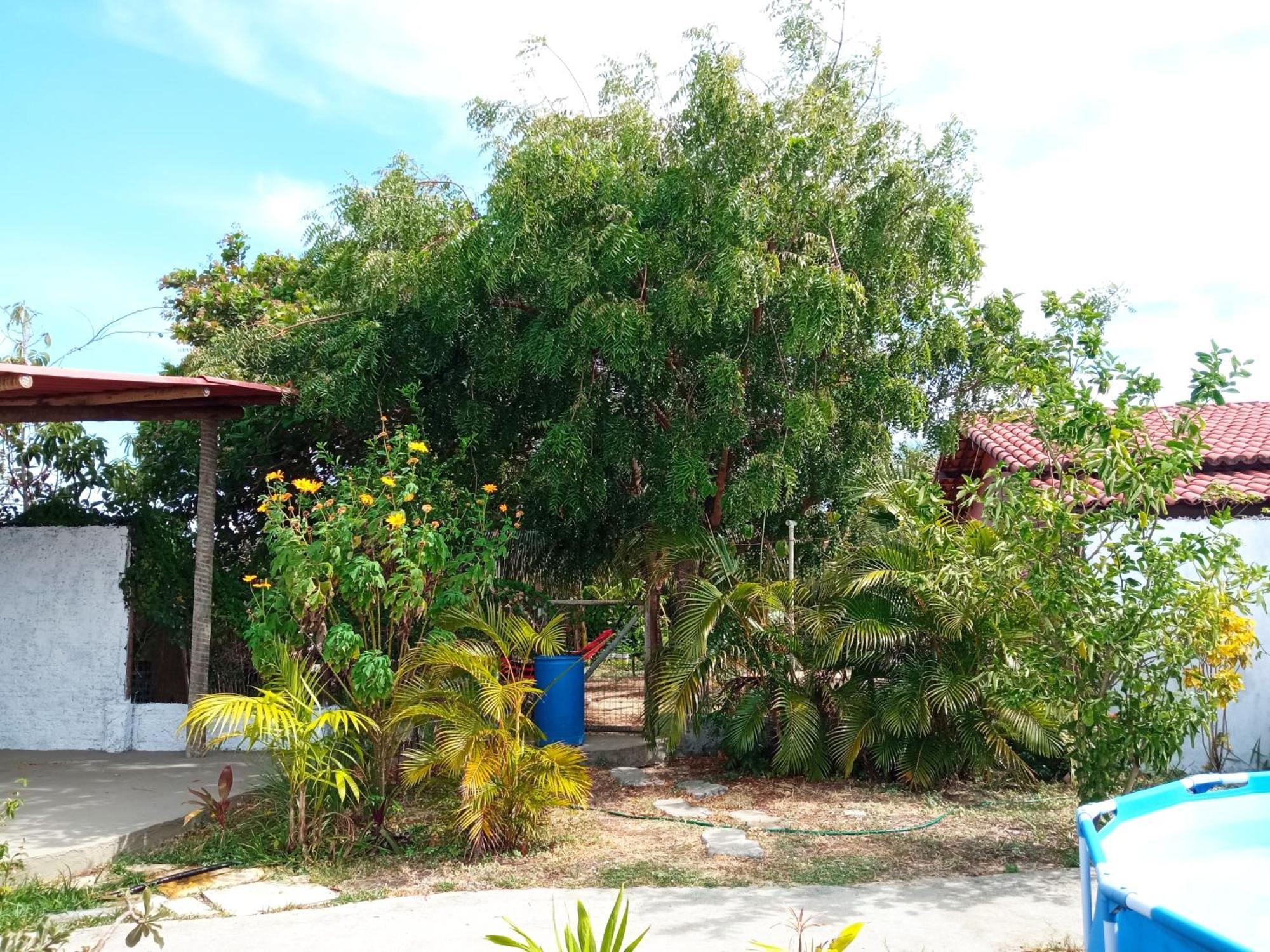 Casa Inti De Maracajau Villa Exterior photo